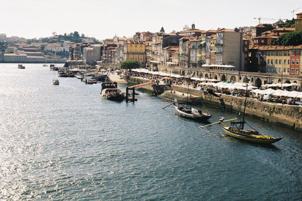 Panoramic view of Porto along the Douro River, featuring Rabelo boats lined up for river tours under a clear sky.