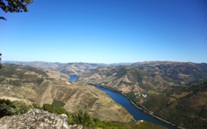 Douro Valley Day Trip To Porto