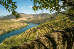 Valley Of Douro